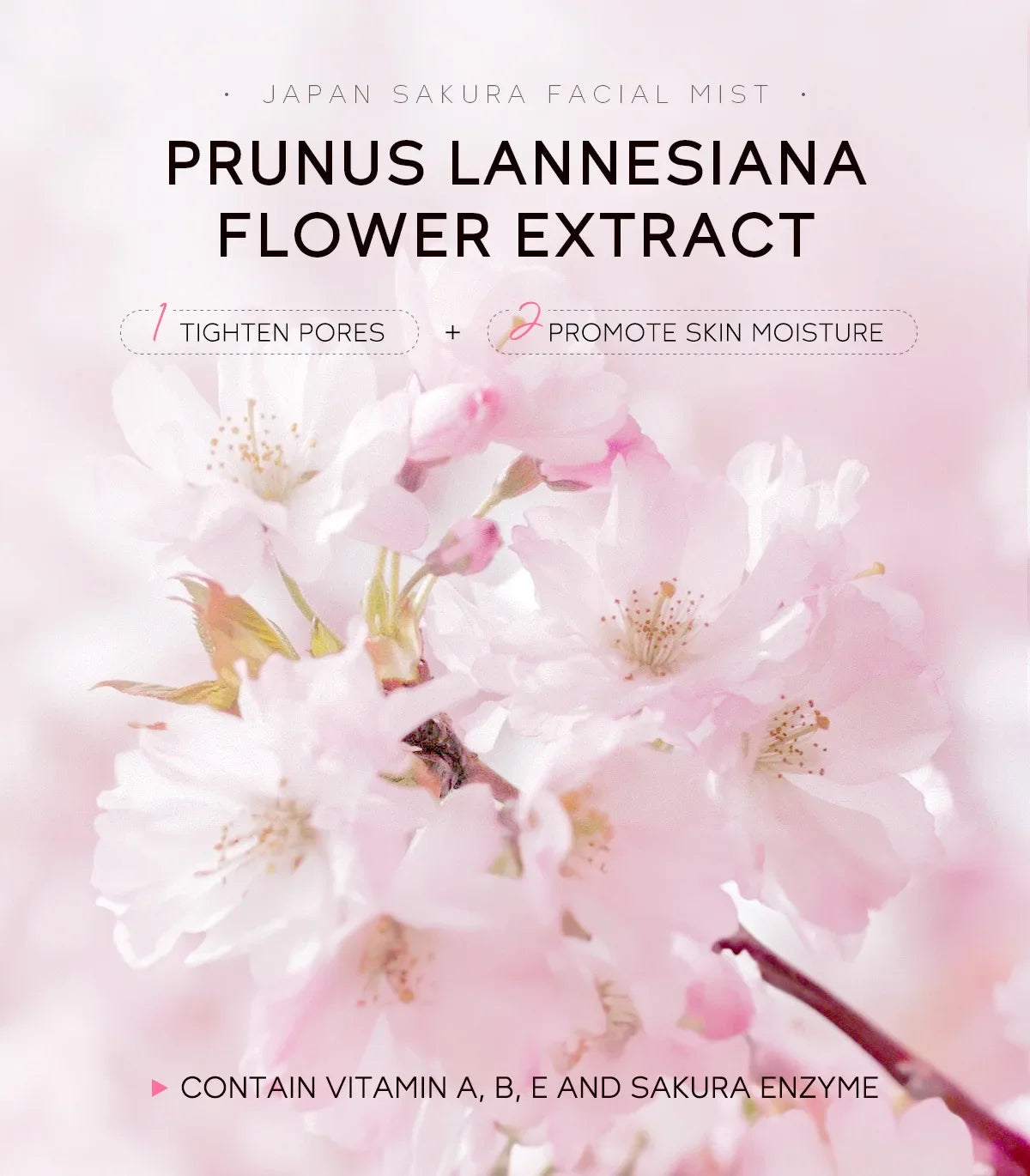 Face Mist Sakura Niacinamide 100ml – Idratazione Fresh & Pelle più Uniforme | Lido Nova