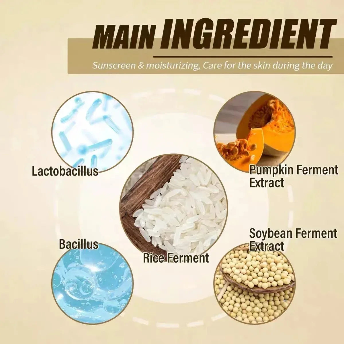 Lozione Solare SPF50+ PA+++ "Rice" – Leggera, Oil-Free & Idratante (Viso & Corpo) | Lido Nova