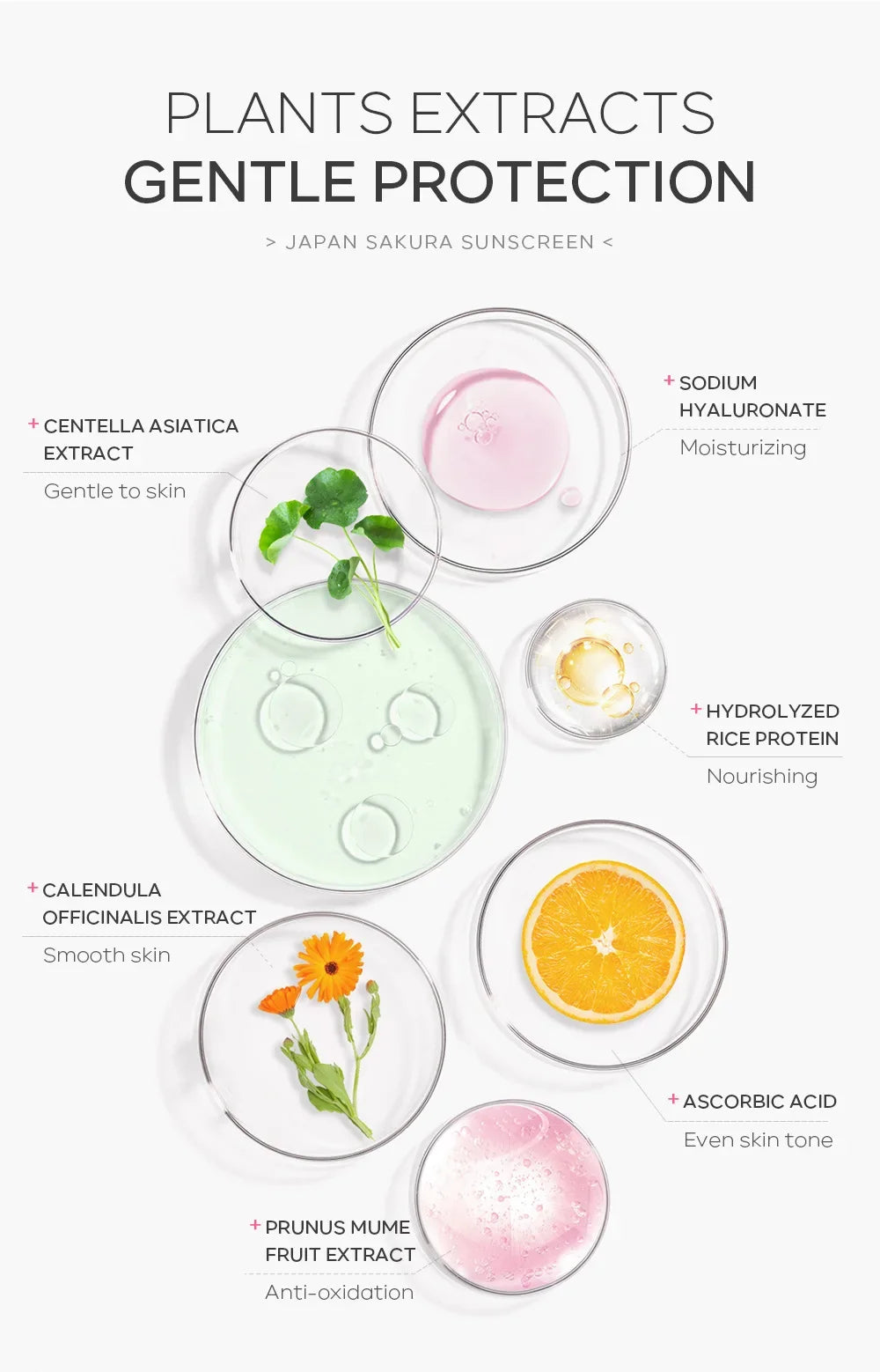 Crema Solare Viso SPF50 Sakura – Texture Leggera & Comfort Idratante (30g) | Lido Nova