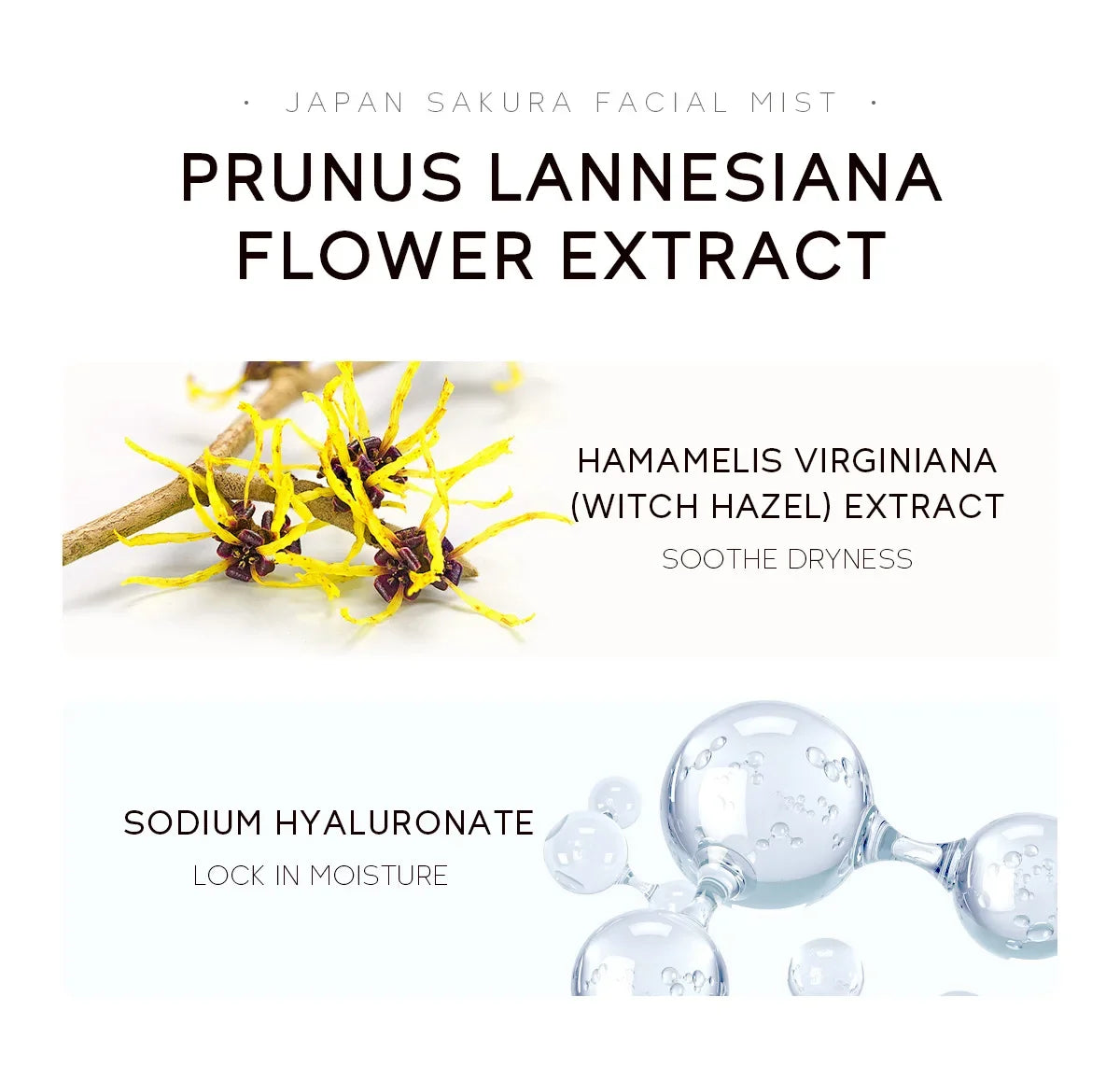 Face Mist Sakura Niacinamide 100ml – Idratazione Fresh & Pelle più Uniforme | Lido Nova